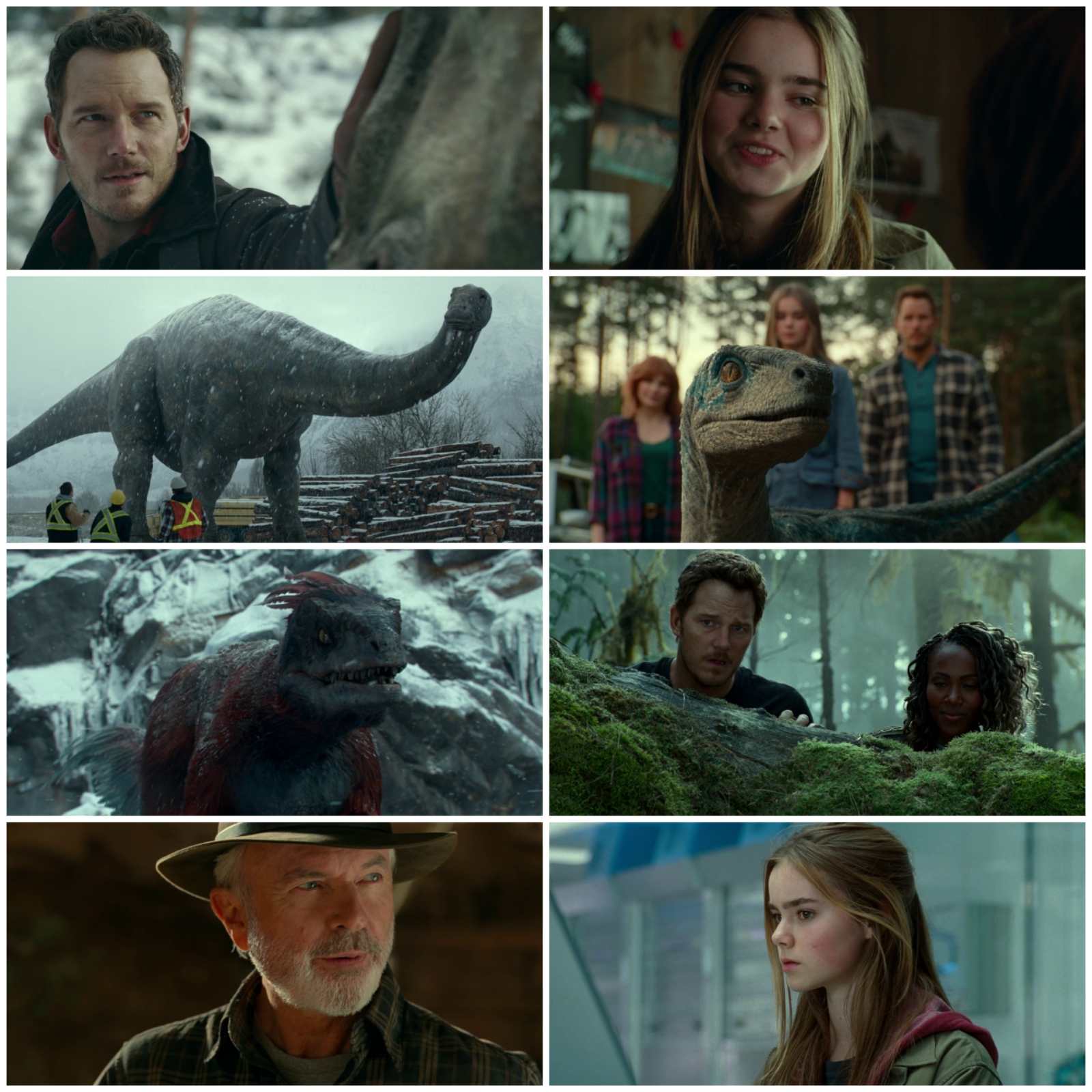 Jurassic World Dominion (2022) Hollywood Hindi Dubbed Full Movie HD ESub screenshot