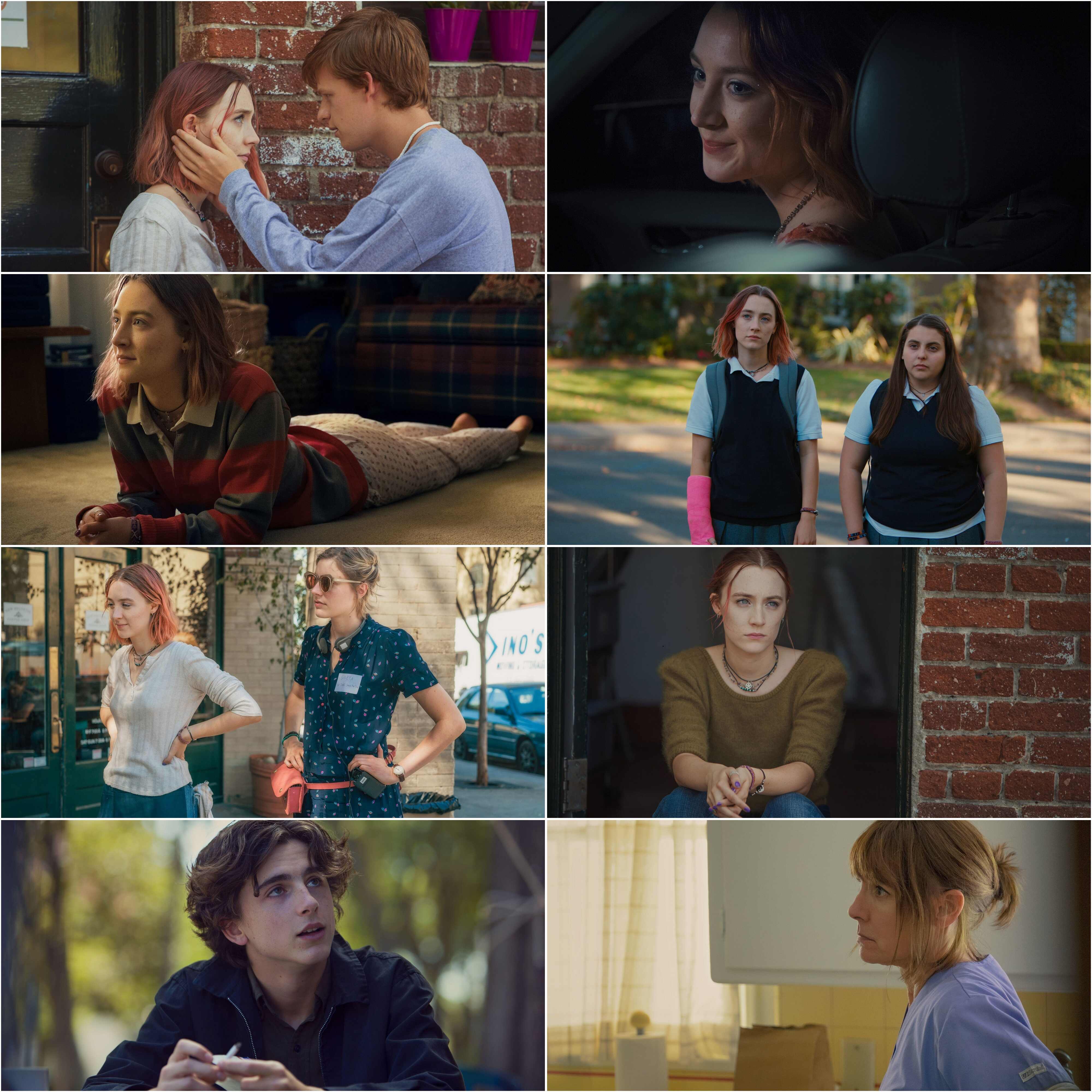 Lady Bird (2017) (Hindi + English) Dual Audio Hollywood Movie BluRay HD ESub screenshot