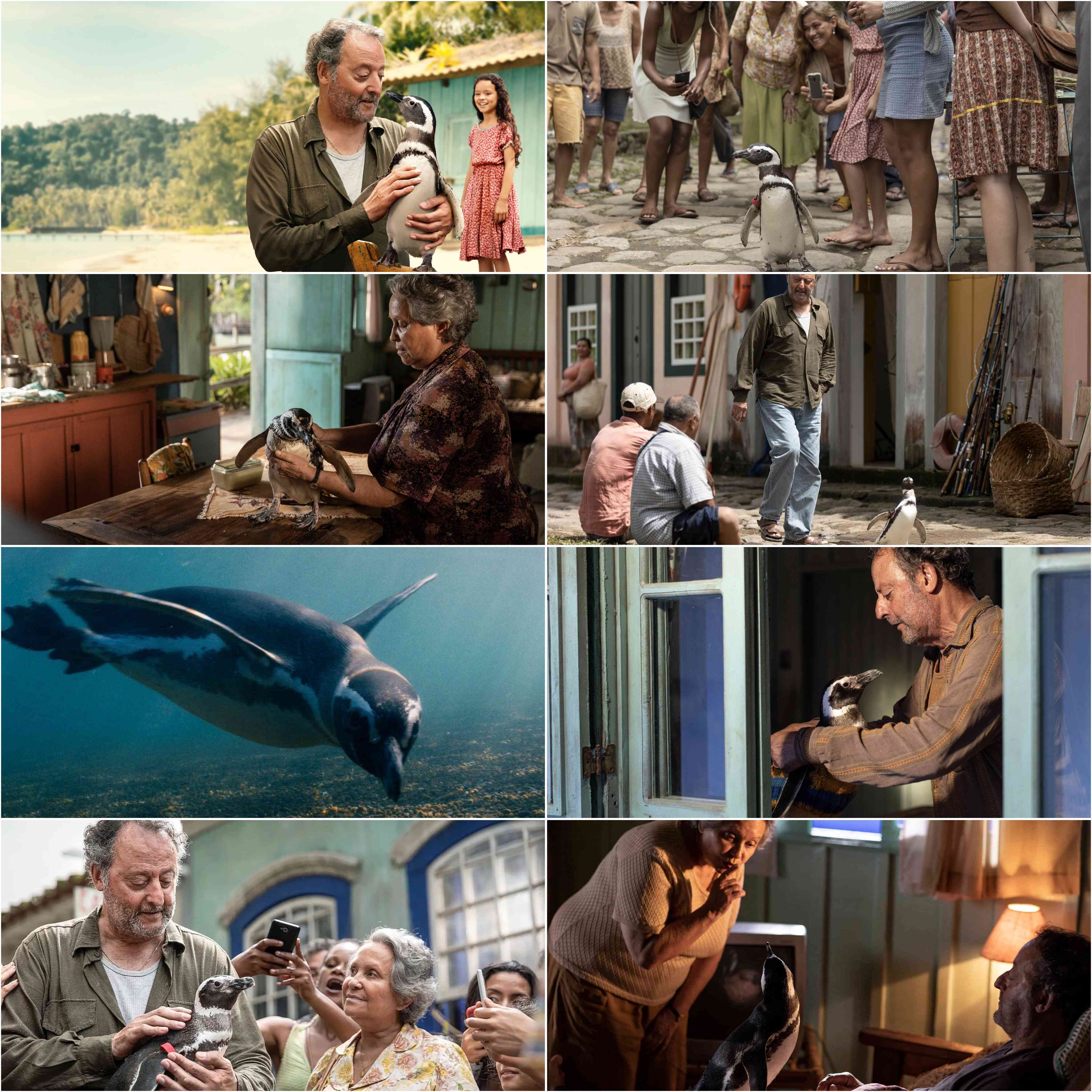 My Penguin Friend (2024) (Hindi + English) Dual Audio Hollywood Movie HD ESub screenshot