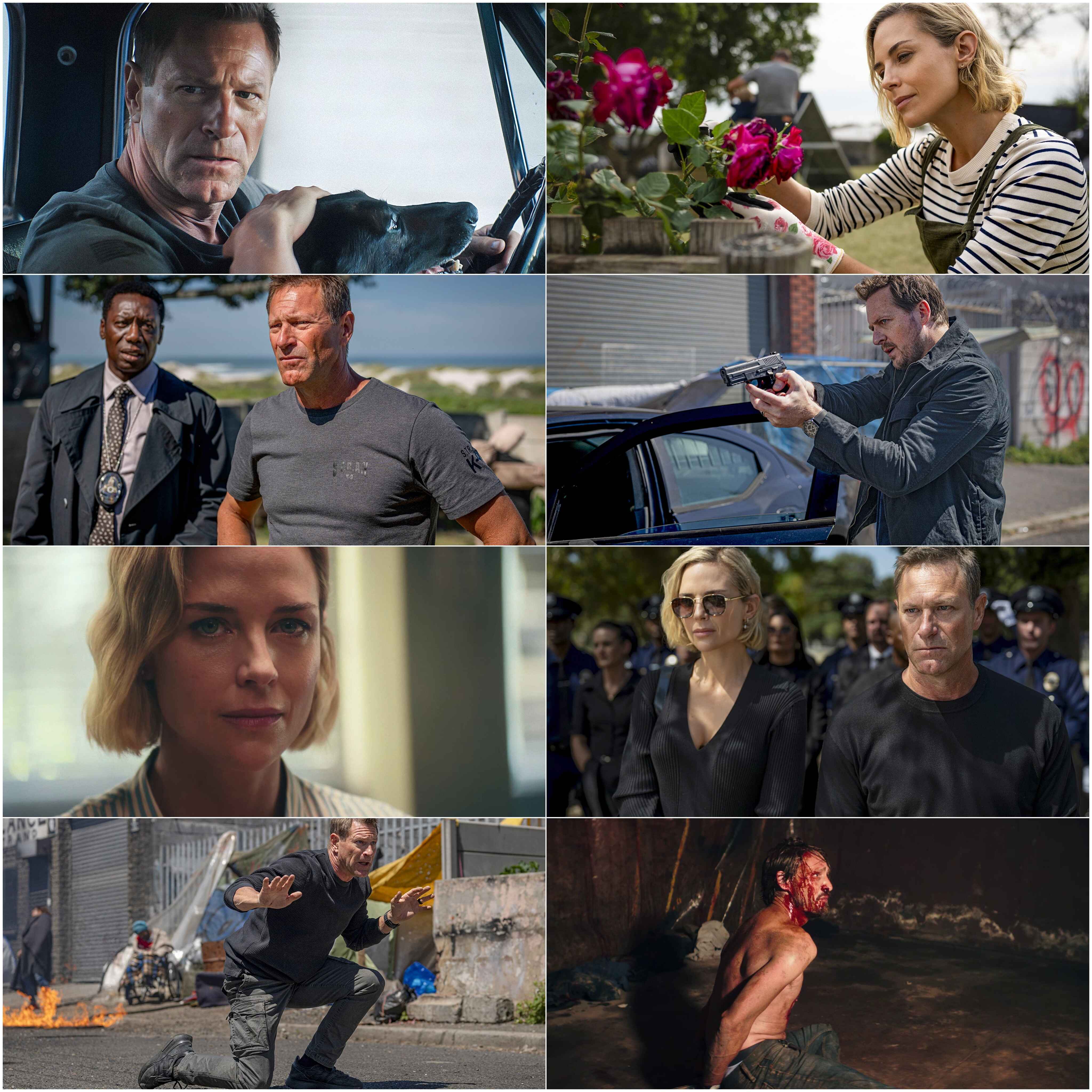 Muzzle City of Wolves (2025) (Hindi + English) Dual Audio Hollywood Movie BluRay HD ESub screenshot