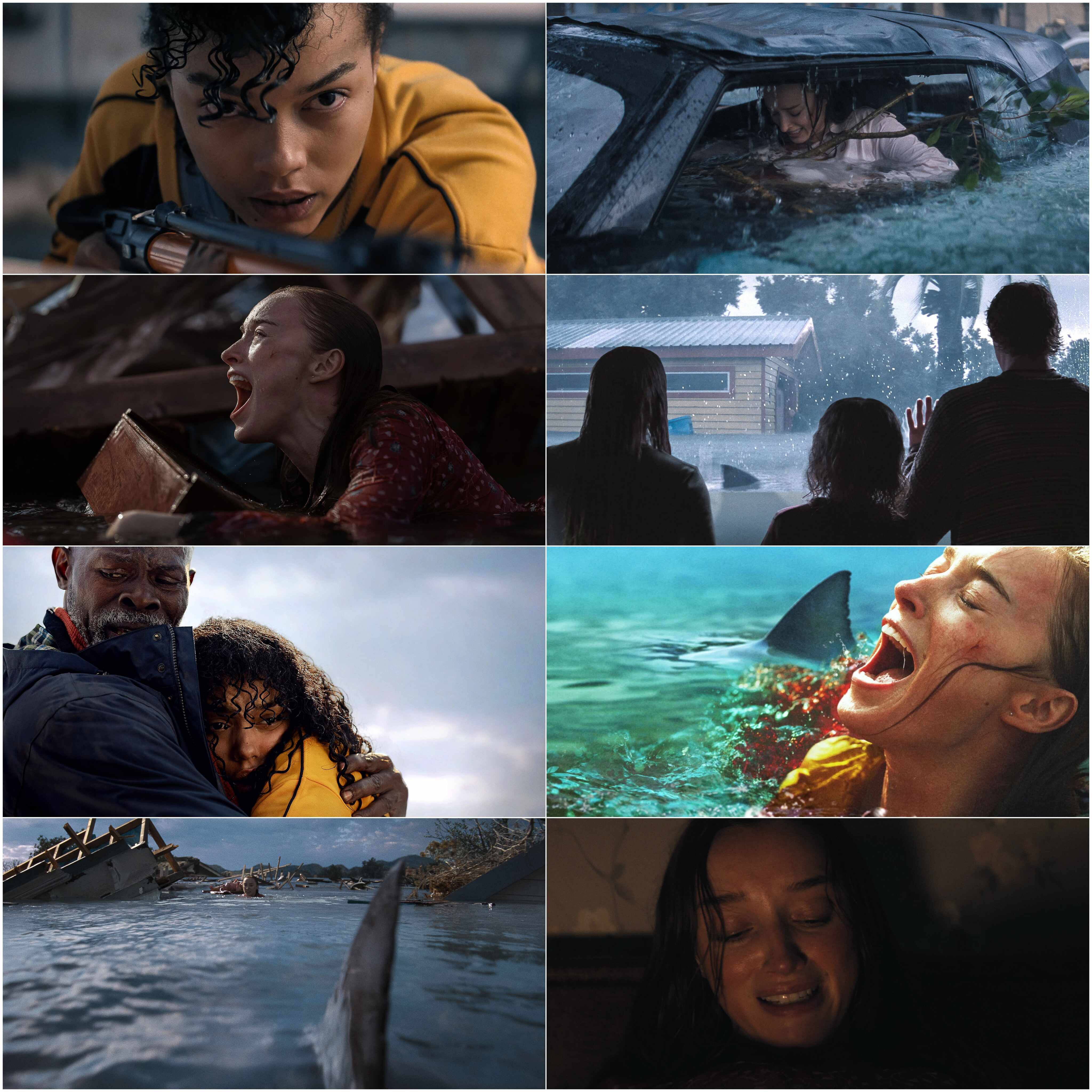 Thrash (2026) (Hindi + English) Dual Audio Hollywood Movie HD ESub screenshot