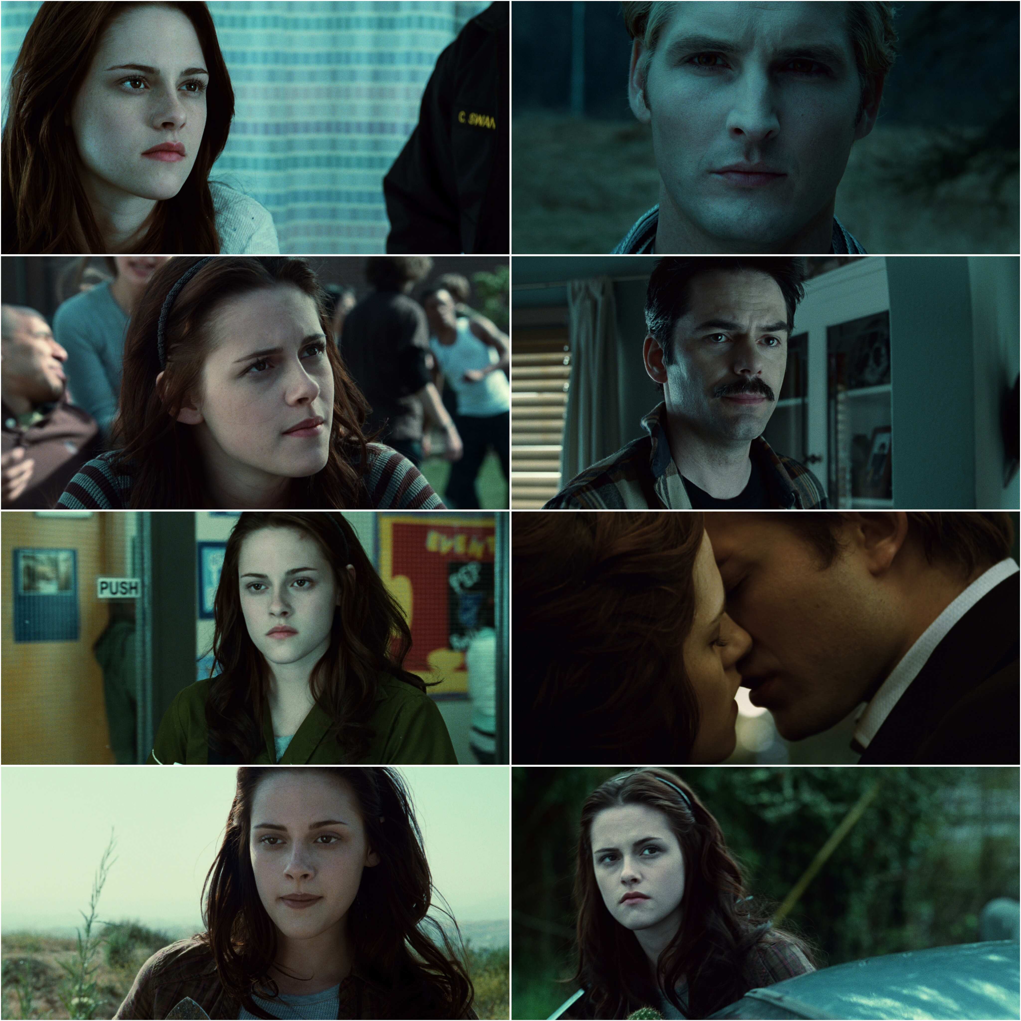 Twilight (2008) Dual Audio [Hindi-English] Blu-Ray– [480P | 720P | 1080P | ESub]– x264 – 500MB | 1.6GB | 3GB – Download & Watch Online screenshot