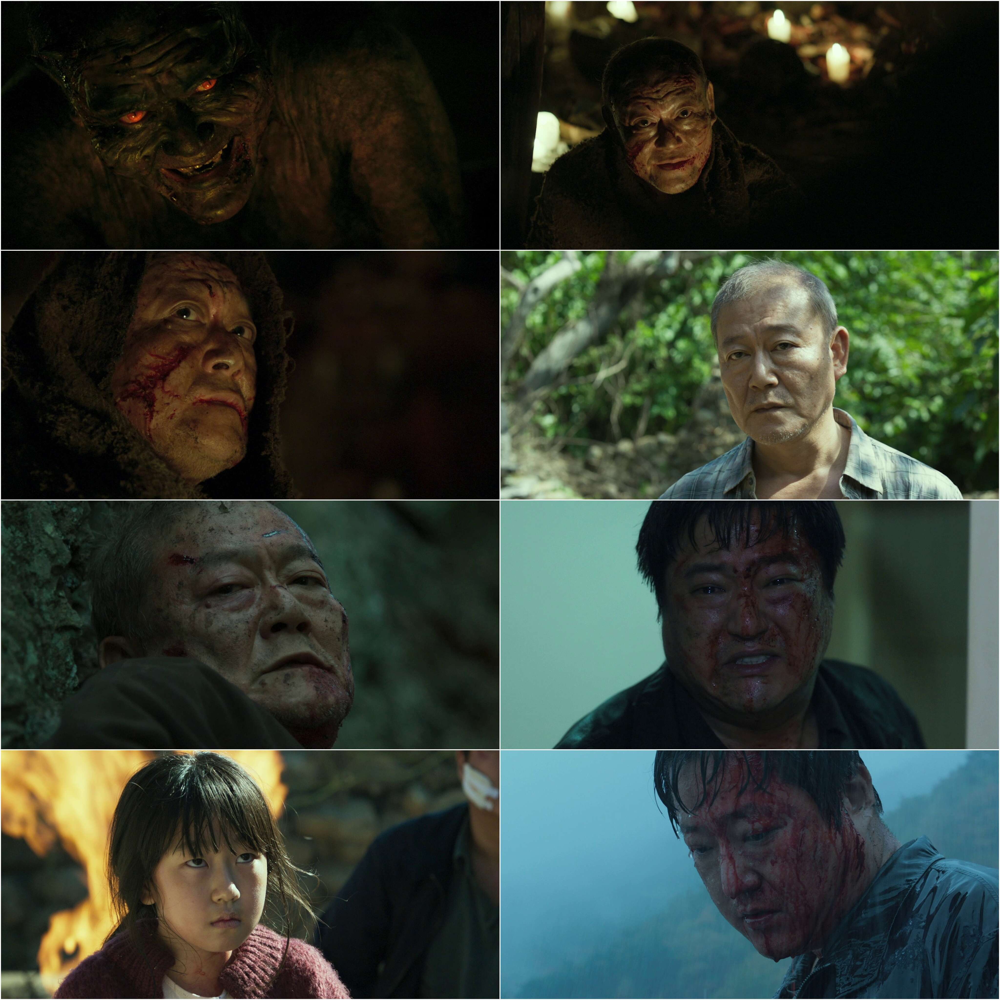 The Wailing (2016) (Hindi + Korean) Dual Audio Hollywood Movie BluRay HD ESub screenshot